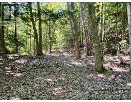 2 Macpherson Road, Macphersons Mills, NS B2H5C8 Photo 47