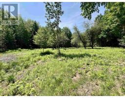 2 Macpherson Road, Macphersons Mills, NS B2H5C8 Photo 49