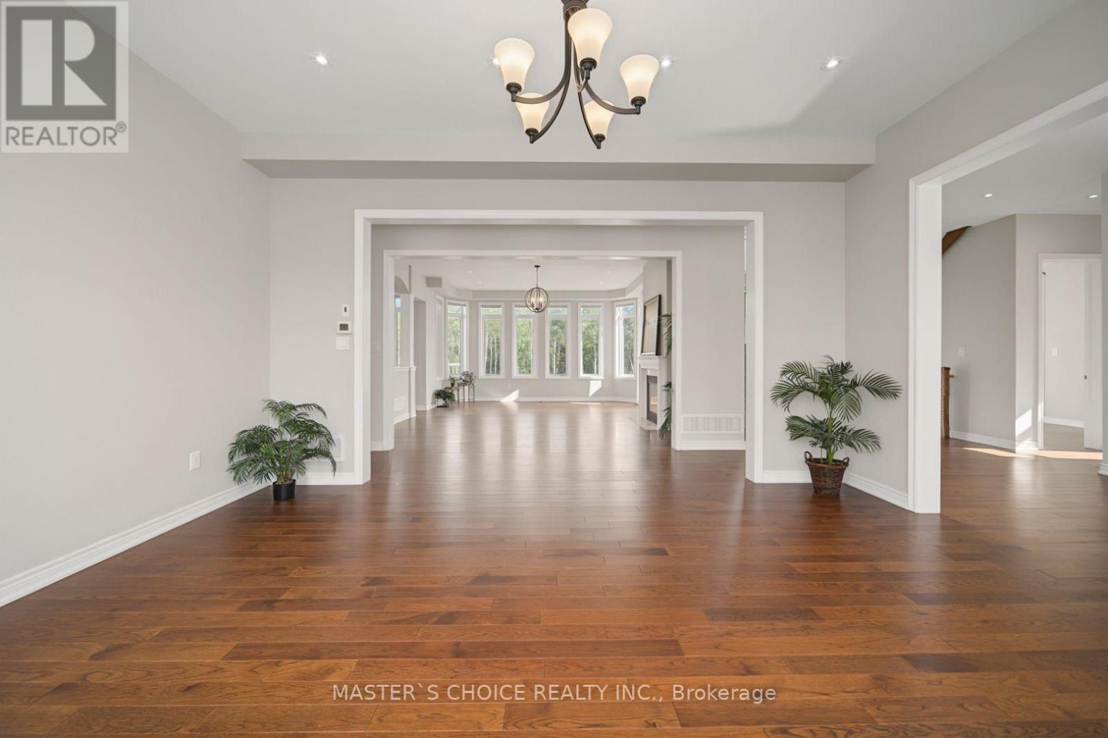 245 PINE HILL ROAD - 14