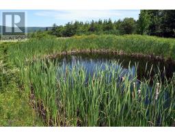 1419 Portage Road, Orangedale East, Whycocomagh Portage, NS B0E3M0 Photo 44