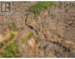 47 Beaver Lane, The Nation, ON K0A2M0 Photo 35