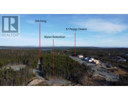 57 Peggy Deane Drive thumbnail 24