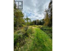 117 Askels Cove Road thumbnail 4