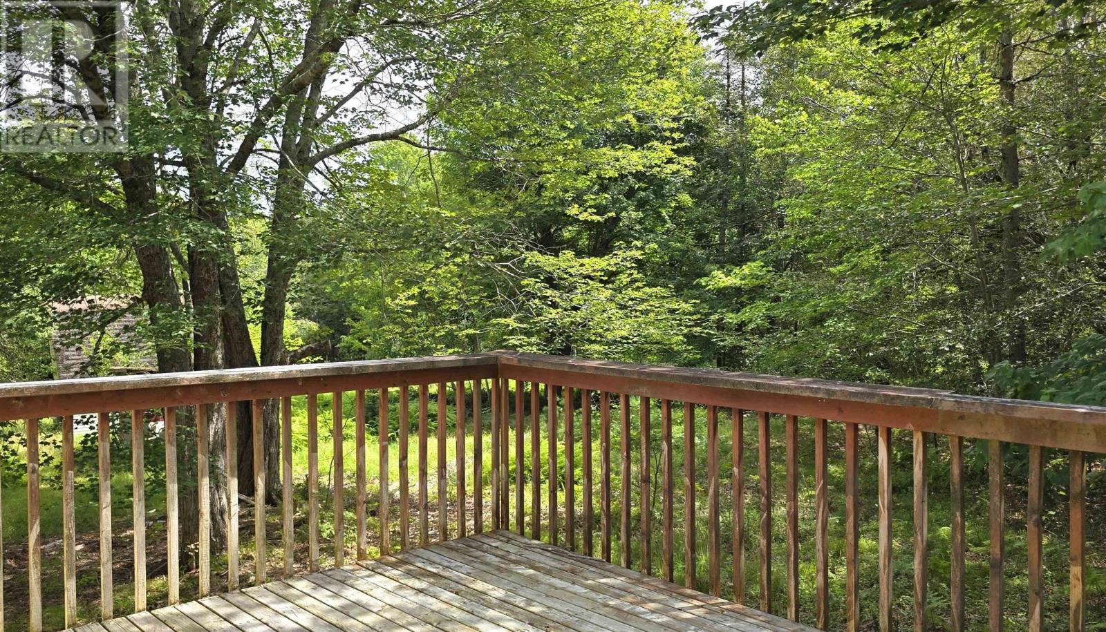 Back deck