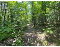 978 Dunlop Lake Wao, Elliot Lake, ON P5A2S9 Photo 33