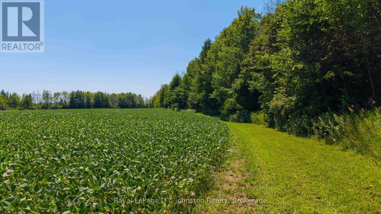 305 SIDEROAD 25, Kincardine — photo 3