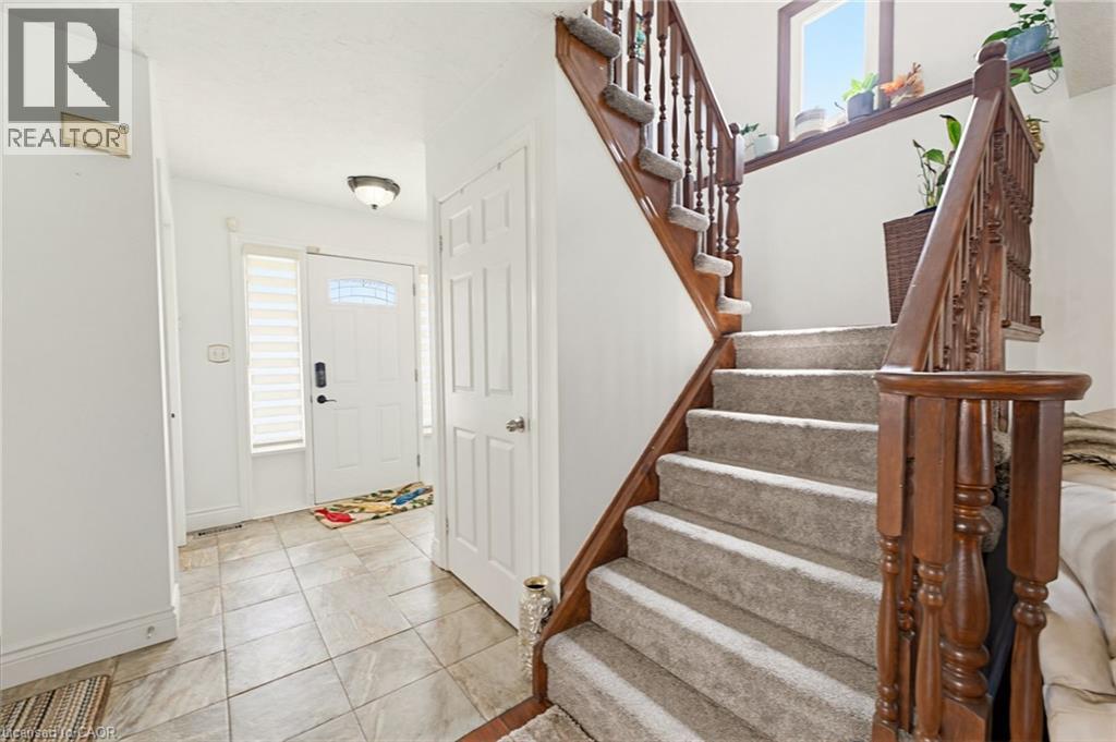 459 DICENZO Drive - Image 11