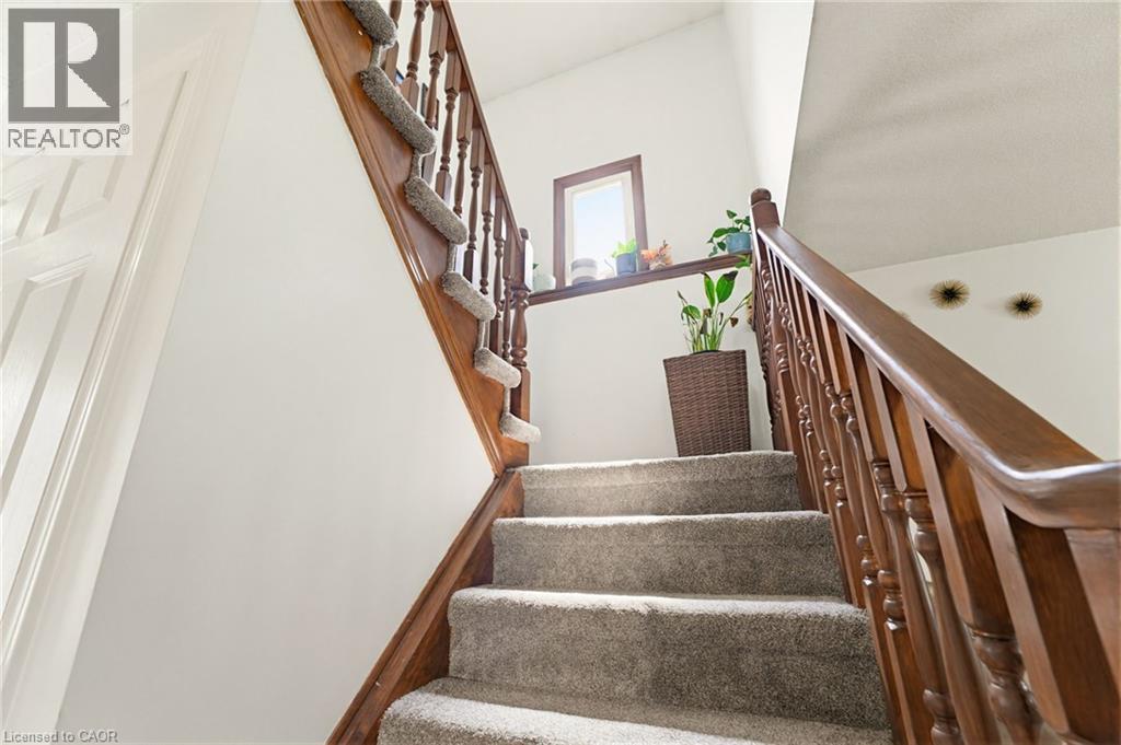 459 DICENZO Drive - 22