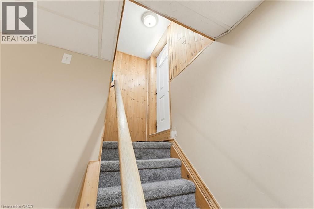 459 DICENZO Drive - 29