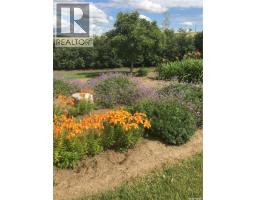 Cadrain Acres, Swift Current Rm No  137, SK S9H1L9 Photo 47