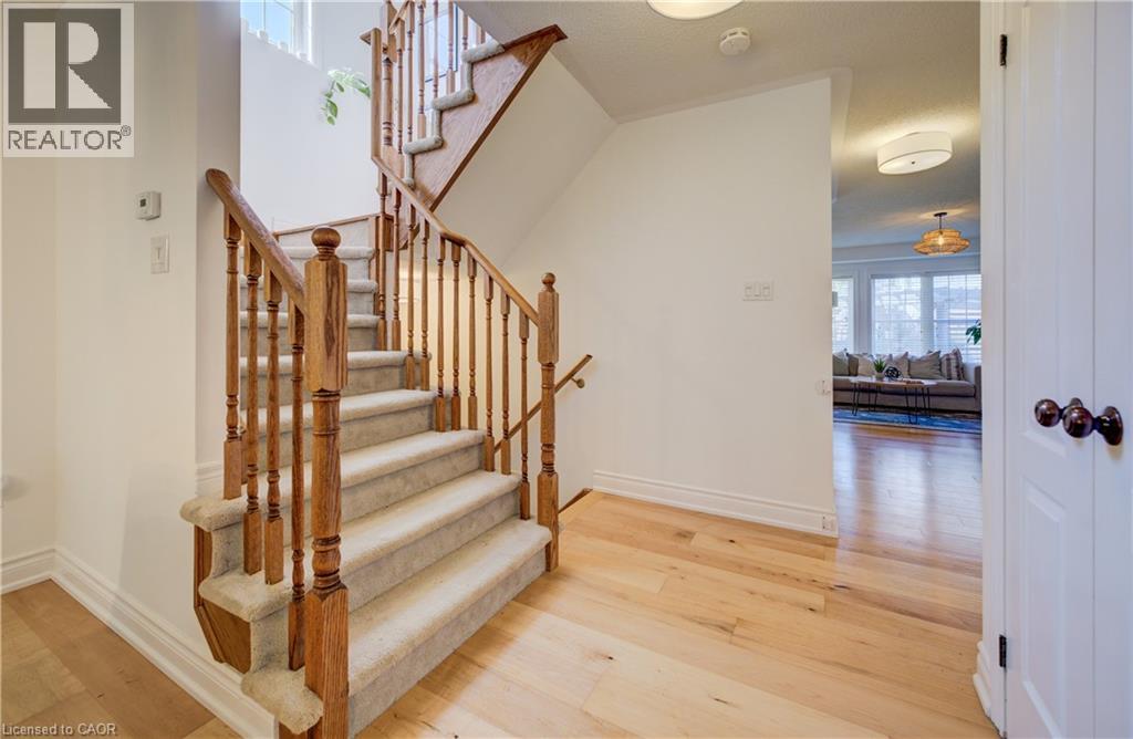 3 GOLDEN IRIS Crescent - Image 8