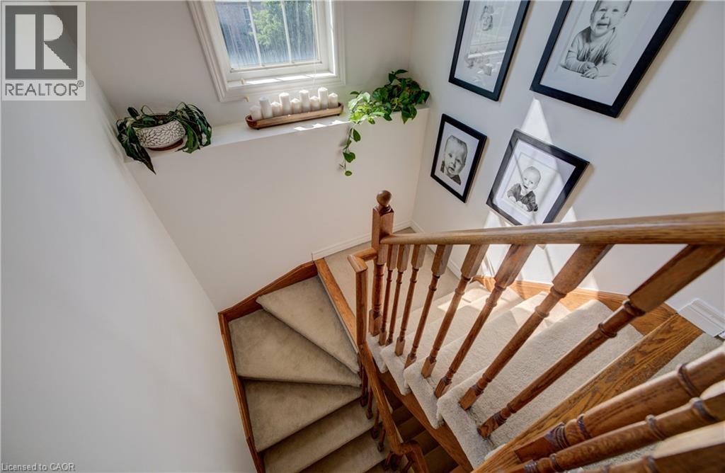 3 GOLDEN IRIS Crescent - Image 23