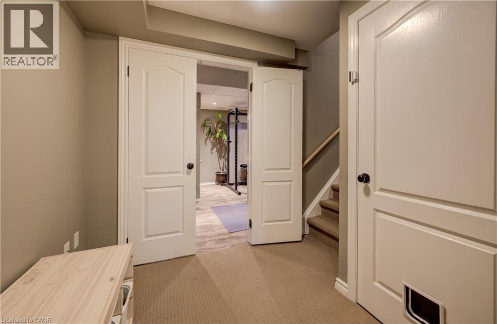 3 GOLDEN IRIS Crescent - Image 34