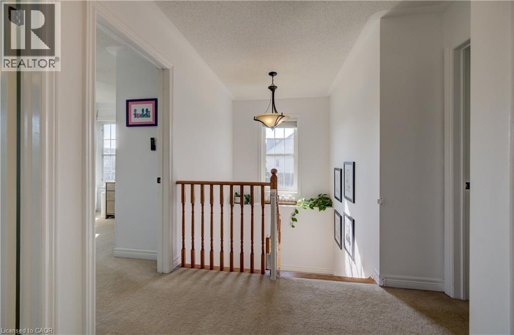 3 GOLDEN IRIS Crescent - Image 24