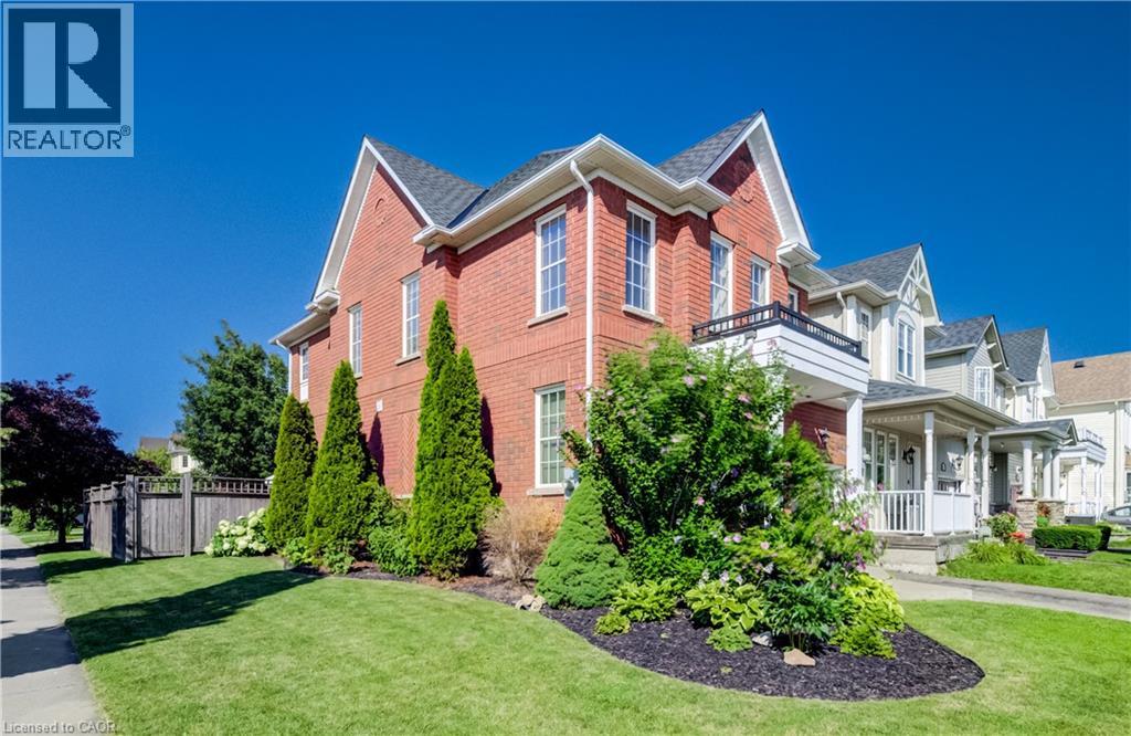 3 GOLDEN IRIS Crescent - Image 3