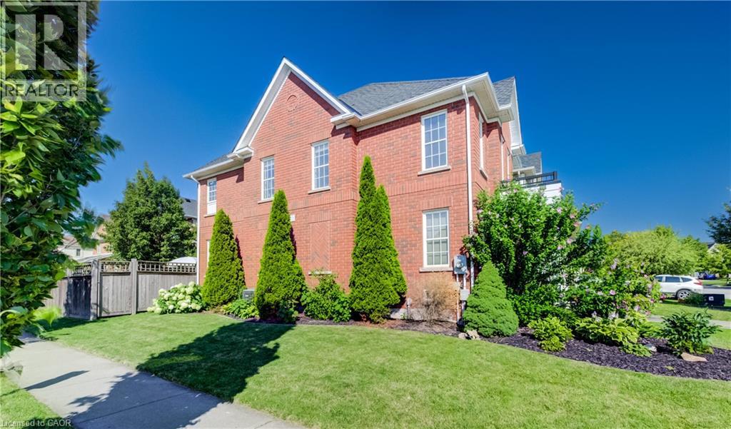 3 GOLDEN IRIS Crescent - Image 40