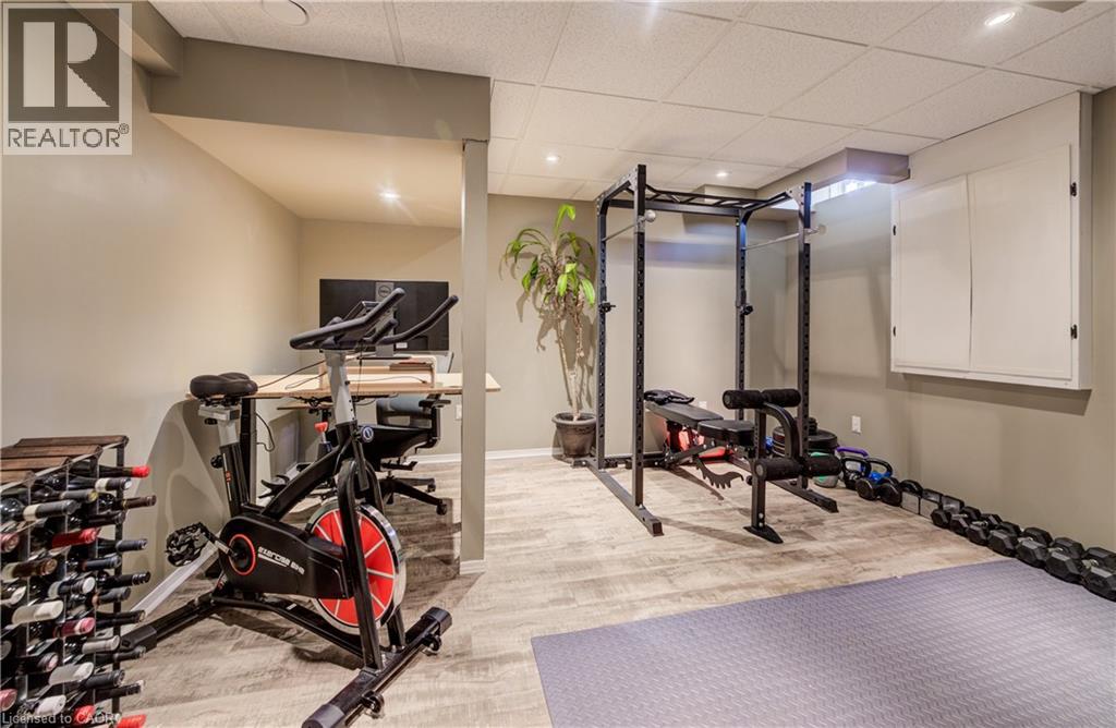 3 GOLDEN IRIS Crescent - Image 35