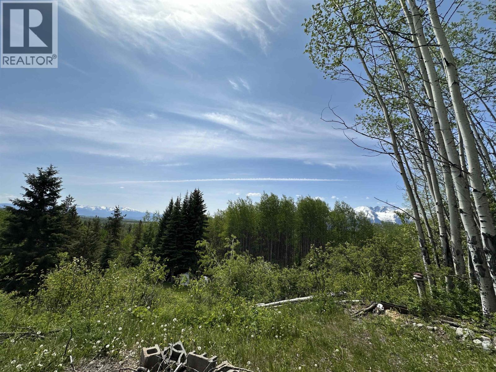 9410 ADAMS ROAD, Smithers