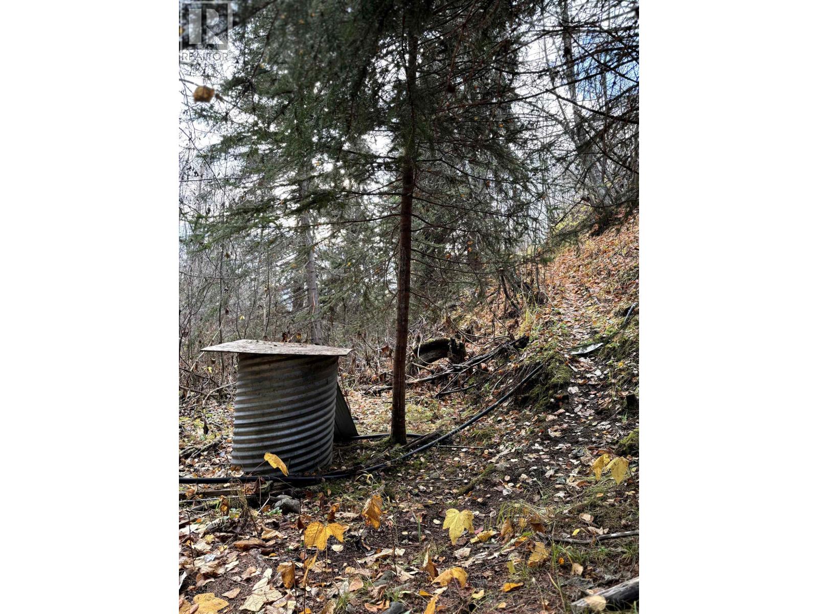 9410 ADAMS ROAD, Smithers