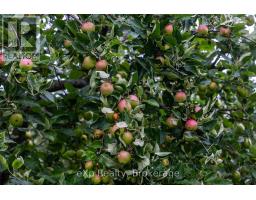 350063 Bayshore Road, Meaford, ON N0H1B0 Photo 48