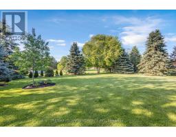 Family room - 25 Brian Drive, Brant, ON N0E1A0 Photo 10