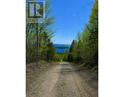 Lot 16 Redbird Drive, Big Harbour Centre, Malagawatch, NS B0E2Y0 Photo 10