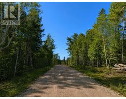 Lot 16 Redbird Drive, Big Harbour Centre, Malagawatch, NS B0E2Y0 Photo 7