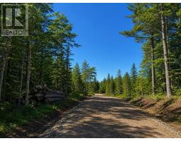 Lot 16 Redbird Drive, Big Harbour Centre, Malagawatch, NS B0E2Y0 Photo 8