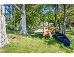 206 Dunfords Lane, Trent Hills, ON K0L1Z0 Photo 39