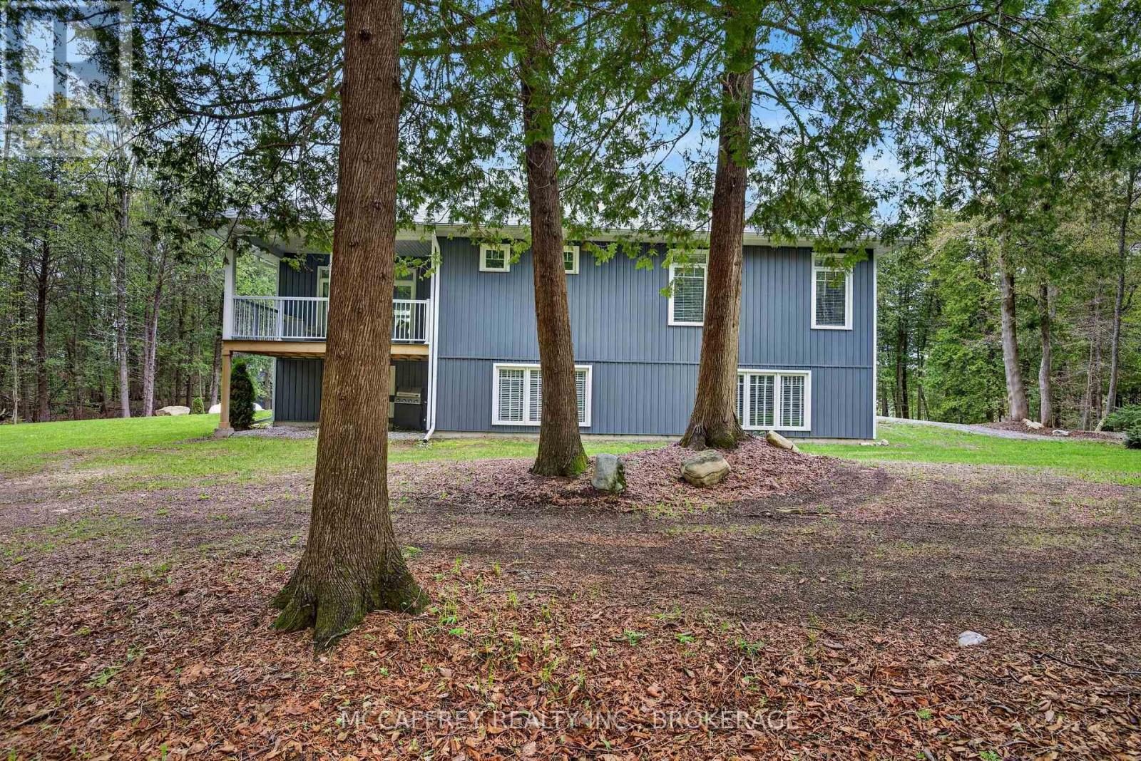 219 KIDDS ROAD - 12
