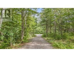 698 Mitchell Road, Madawaska Valley, ON K0J1B0 Photo 39