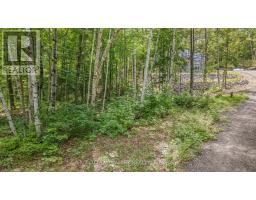 698 Mitchell Road, Madawaska Valley, ON K0J1B0 Photo 40