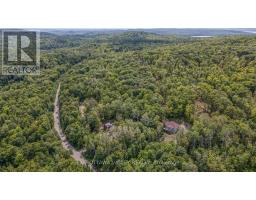 698 Mitchell Road, Madawaska Valley, ON K0J1B0 Photo 42