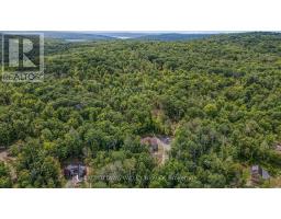 698 Mitchell Road, Madawaska Valley, ON K0J1B0 Photo 43