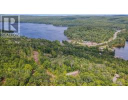 698 Mitchell Road, Madawaska Valley, ON K0J1B0 Photo 44