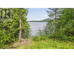698 Mitchell Road, Madawaska Valley, ON K0J1B0 Photo 46
