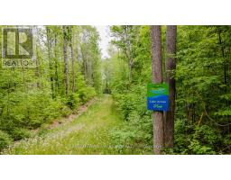 698 Mitchell Road, Madawaska Valley, ON K0J1B0 Photo 47