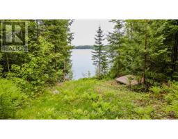 698 Mitchell Road, Madawaska Valley, ON K0J1B0 Photo 49