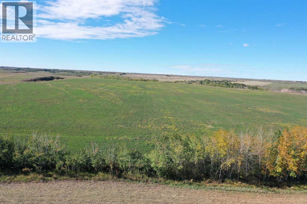 42126 Range Road 175 - Photo 33