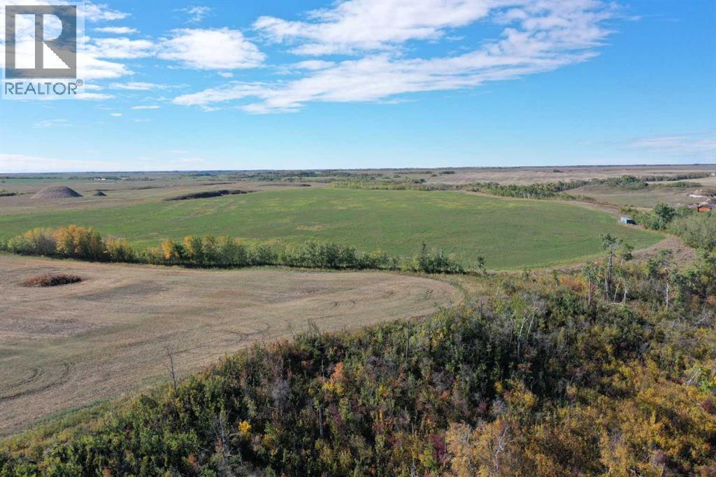 42126 Range Road 175 - Photo 35