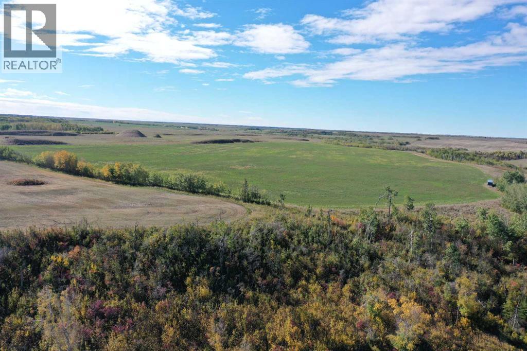 42126 Range Road 175 - Photo 36