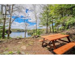 27 Beaumont Bay Road, Muskoka Lakes, ON P0B1L0 Photo 31