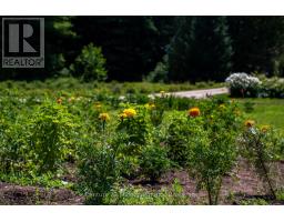 Other - 414616 Baseline Road, West Grey, ON N0C1H0 Photo 12