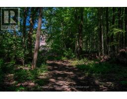 Primary Bedroom - 414616 Baseline Road, West Grey, ON N0C1H0 Photo 13
