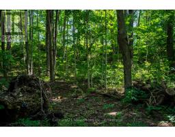 Other - 414616 Baseline Road, West Grey, ON N0C1H0 Photo 8