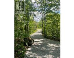 1203 Honey Harbour Road W, Georgian Bay, ON L0K1S0 Photo 7