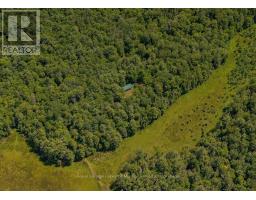 1101 Langford Road, Lake Of Bays, ON P0B1A0 Photo 6