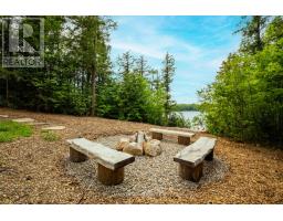 1357 Dickie Lake Road, Lake Of Bays, ON P0B1A0 Photo 46