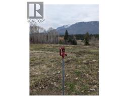 2481 Squilax-anglemont Road Lot# 36, Lee Creek, BC V0E1M4 Photo 6