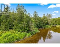 344511 North Line, West Grey, ON N0C1K0 Photo 38